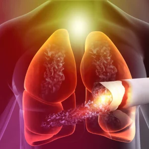 Human lungs anatomy with cigarette . cigarette smoking cause lung cancer. 3d illustration